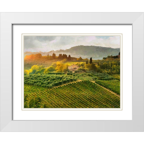 Tuscany Vineyeard White Modern Wood Framed Art Print with Double Matting by Medeiros, Celito