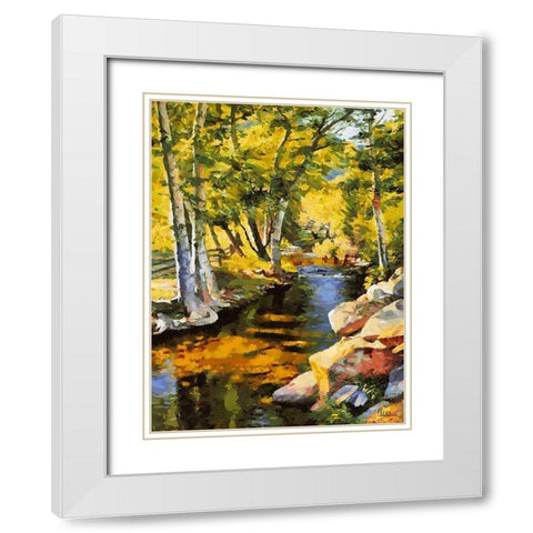 Creek with Rocks White Modern Wood Framed Art Print with Double Matting by Medeiros, Celito