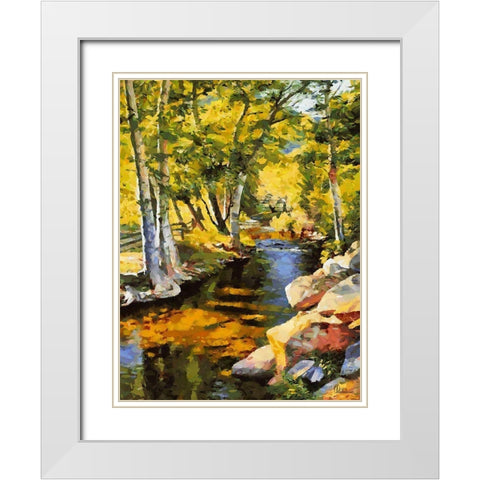Creek with Rocks White Modern Wood Framed Art Print with Double Matting by Medeiros, Celito