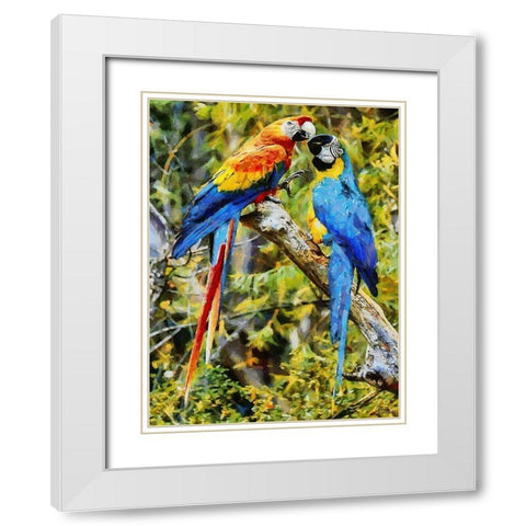 Two Fighting Parrots White Modern Wood Framed Art Print with Double Matting by Medeiros, Celito
