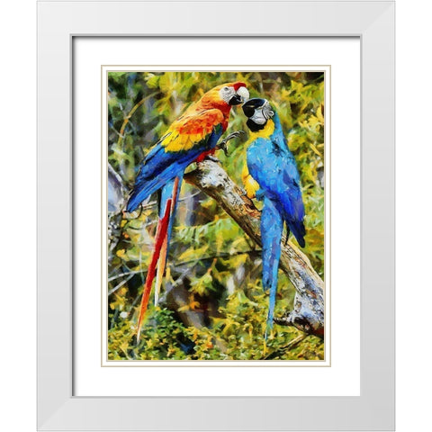 Two Fighting Parrots White Modern Wood Framed Art Print with Double Matting by Medeiros, Celito