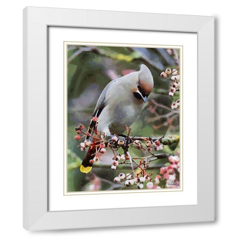 White Bird White Modern Wood Framed Art Print with Double Matting by Medeiros, Celito