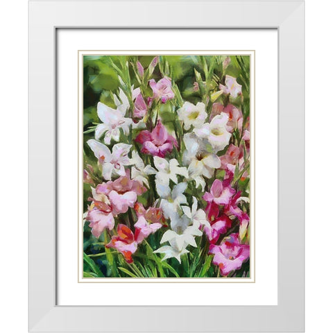 Gladiolus II White Modern Wood Framed Art Print with Double Matting by Medeiros, Celito