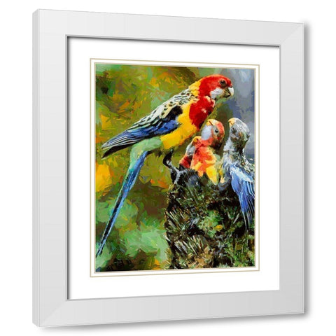 Parrot Family White Modern Wood Framed Art Print with Double Matting by Medeiros, Celito