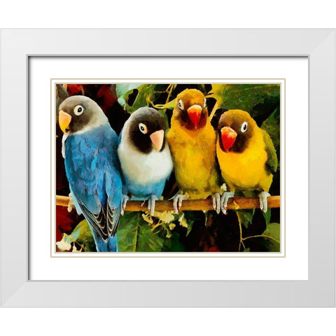 Four Parrots White Modern Wood Framed Art Print with Double Matting by Medeiros, Celito