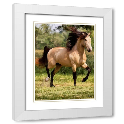 Brown Horse on the Meadow White Modern Wood Framed Art Print with Double Matting by Medeiros, Celito