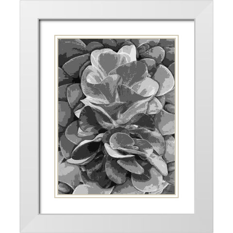 Leaves BW6 White Modern Wood Framed Art Print with Double Matting by Medeiros, Celito