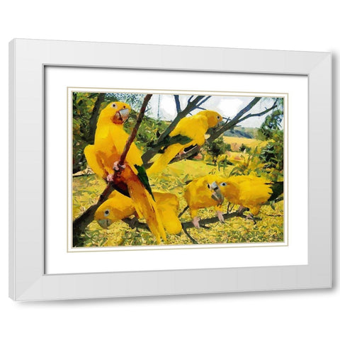 Five Yellow Parrots White Modern Wood Framed Art Print with Double Matting by Medeiros, Celito