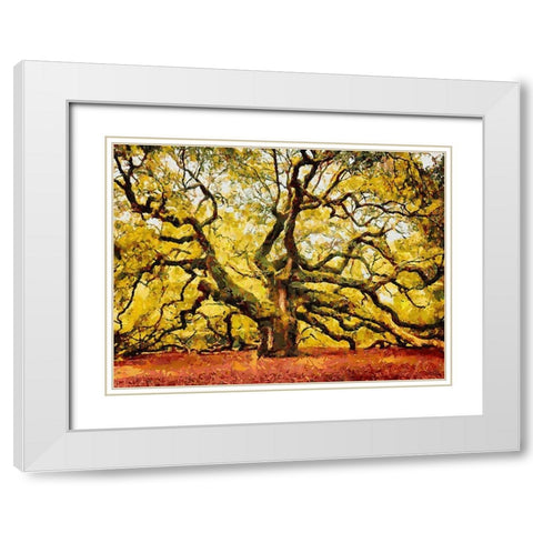 A Big Tree White Modern Wood Framed Art Print with Double Matting by Medeiros, Celito