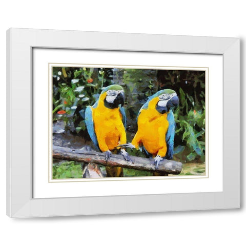 Two Parrots White Modern Wood Framed Art Print with Double Matting by Medeiros, Celito