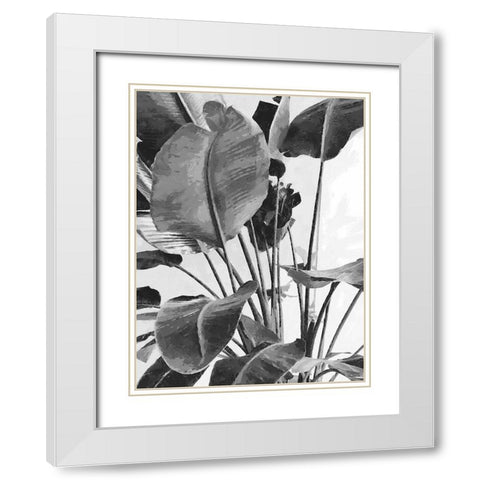 Leaves BW9 White Modern Wood Framed Art Print with Double Matting by Medeiros, Celito
