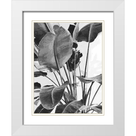 Leaves BW9 White Modern Wood Framed Art Print with Double Matting by Medeiros, Celito