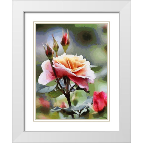 Rose White Modern Wood Framed Art Print with Double Matting by Medeiros, Celito