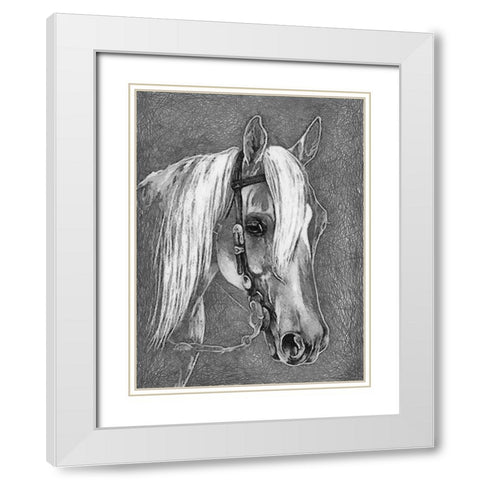 Horse Face BW I White Modern Wood Framed Art Print with Double Matting by Medeiros, Celito