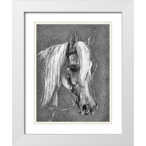 Horse Face BW I White Modern Wood Framed Art Print with Double Matting by Medeiros, Celito