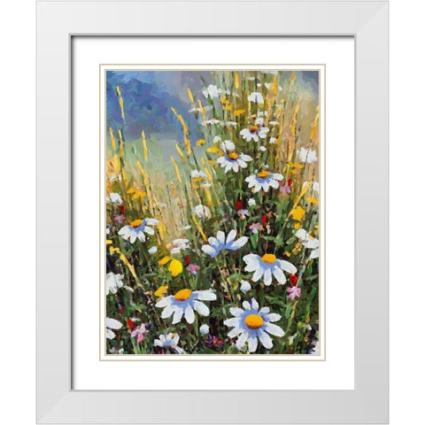 Meadow with Daisies II White Modern Wood Framed Art Print with Double Matting by Medeiros, Celito