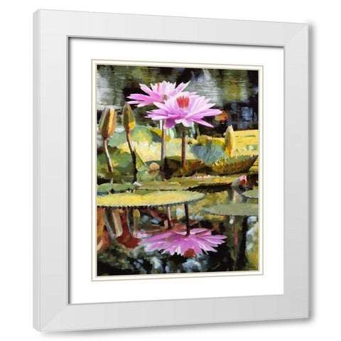 Pink Watterlilly White Modern Wood Framed Art Print with Double Matting by Medeiros, Celito
