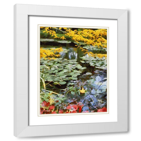 Nature in Brazil I White Modern Wood Framed Art Print with Double Matting by Medeiros, Celito
