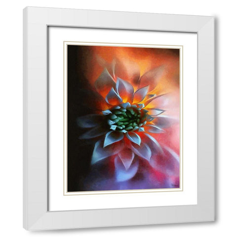 Flower in Red III White Modern Wood Framed Art Print with Double Matting by Medeiros, Celito