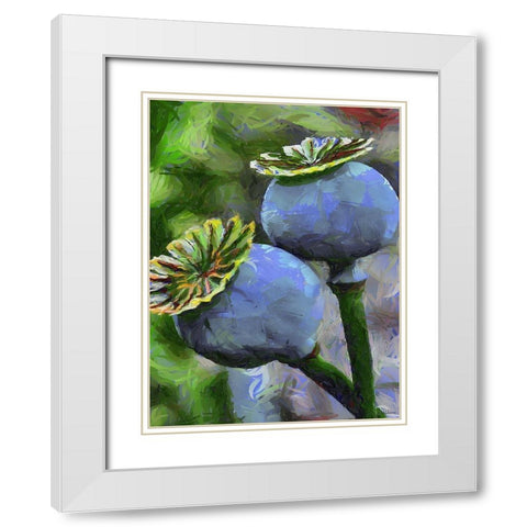 Ripe Poppies II White Modern Wood Framed Art Print with Double Matting by Medeiros, Celito