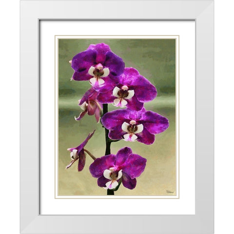 Purple Orchid White Modern Wood Framed Art Print with Double Matting by Medeiros, Celito