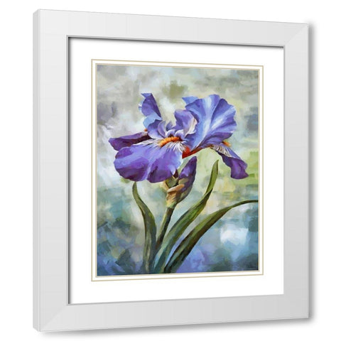 Blue Iris II White Modern Wood Framed Art Print with Double Matting by Medeiros, Celito