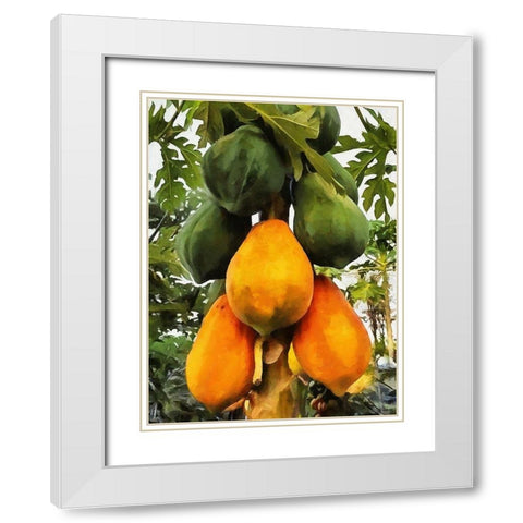 Papaya White Modern Wood Framed Art Print with Double Matting by Medeiros, Celito