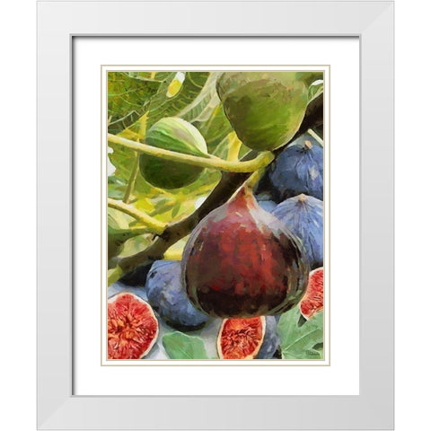 Figs White Modern Wood Framed Art Print with Double Matting by Medeiros, Celito