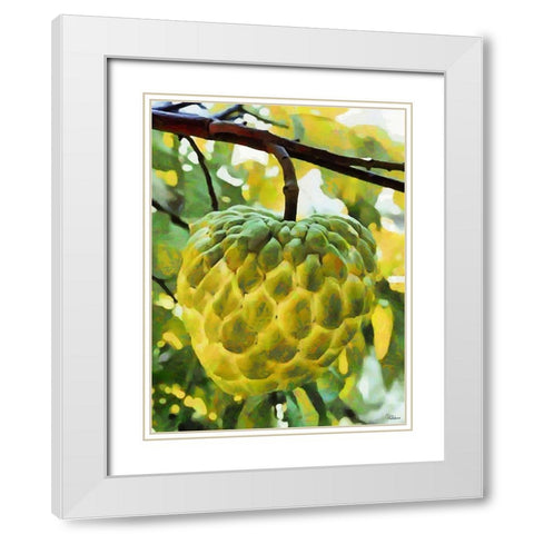 Tropical Fruit I White Modern Wood Framed Art Print with Double Matting by Medeiros, Celito