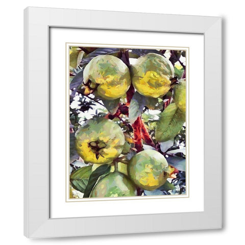 Passion Fruit White Modern Wood Framed Art Print with Double Matting by Medeiros, Celito
