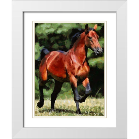 Running Brown Horse White Modern Wood Framed Art Print with Double Matting by Medeiros, Celito
