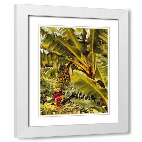 Banana Tree I White Modern Wood Framed Art Print with Double Matting by Medeiros, Celito