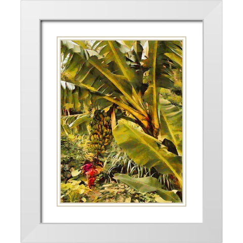 Banana Tree I White Modern Wood Framed Art Print with Double Matting by Medeiros, Celito