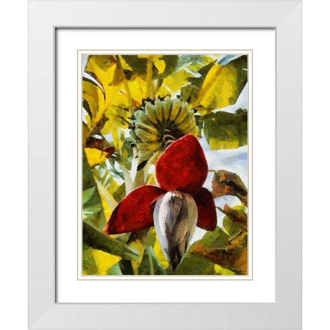 Banana Tree III White Modern Wood Framed Art Print with Double Matting by Medeiros, Celito