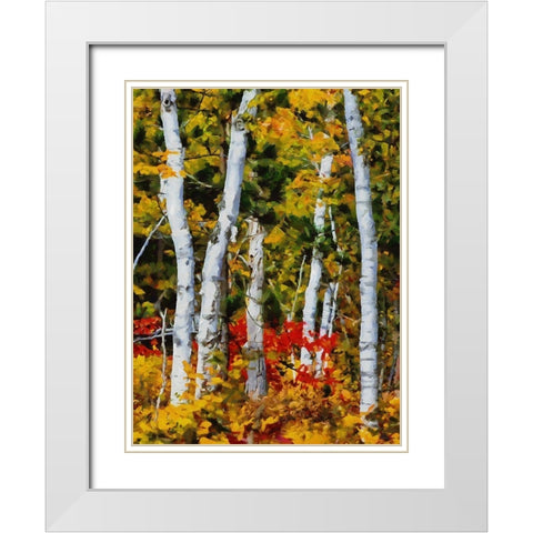 Birch Variation III White Modern Wood Framed Art Print with Double Matting by Medeiros, Celito