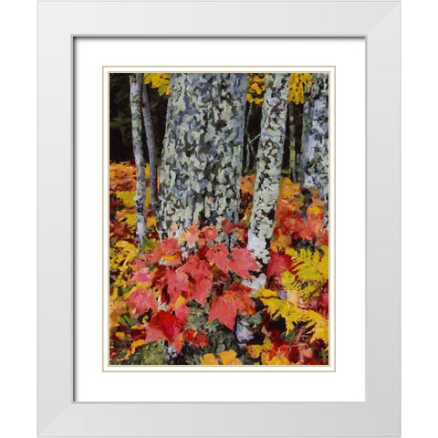 Birch Variation V White Modern Wood Framed Art Print with Double Matting by Medeiros, Celito