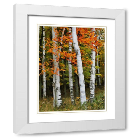 Birch Variation VI White Modern Wood Framed Art Print with Double Matting by Medeiros, Celito