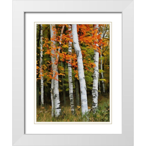 Birch Variation VI White Modern Wood Framed Art Print with Double Matting by Medeiros, Celito
