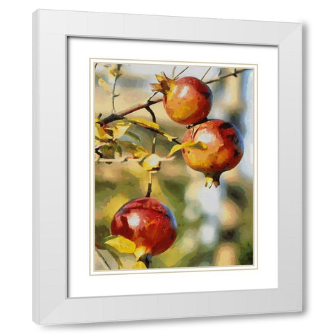 Pomegranate Tree White Modern Wood Framed Art Print with Double Matting by Medeiros, Celito
