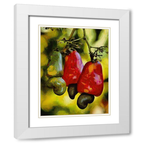 Tropical Fruit Tree White Modern Wood Framed Art Print with Double Matting by Medeiros, Celito