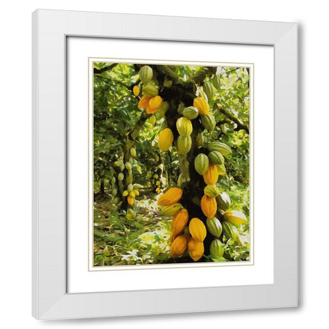 Tropical Fruit Tree III White Modern Wood Framed Art Print with Double Matting by Medeiros, Celito