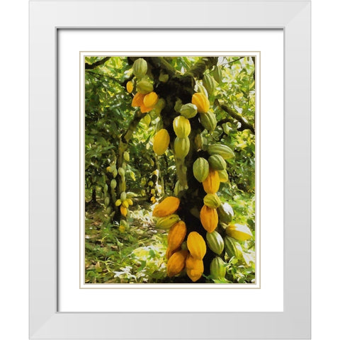 Tropical Fruit Tree III White Modern Wood Framed Art Print with Double Matting by Medeiros, Celito