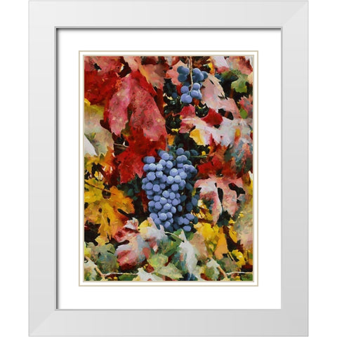 Twig of Grape Wine III White Modern Wood Framed Art Print with Double Matting by Medeiros, Celito