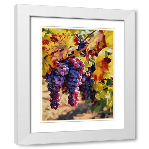 Twig of Grape Wine IV White Modern Wood Framed Art Print with Double Matting by Medeiros, Celito