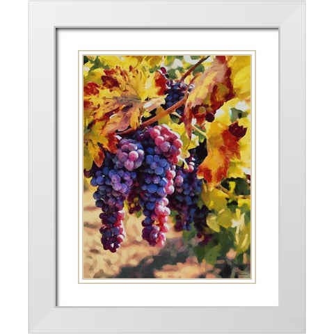 Twig of Grape Wine IV White Modern Wood Framed Art Print with Double Matting by Medeiros, Celito