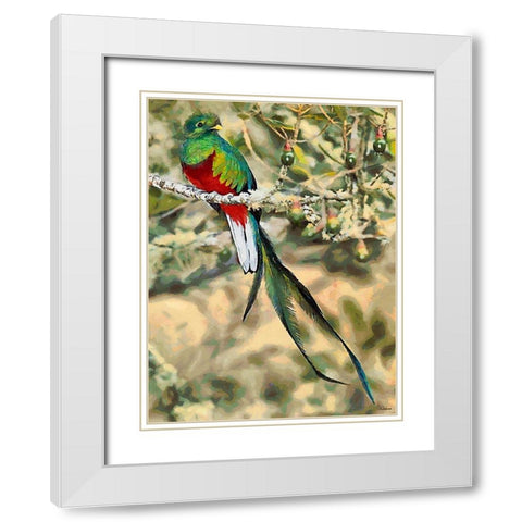 Green Bird with long Feathers White Modern Wood Framed Art Print with Double Matting by Medeiros, Celito