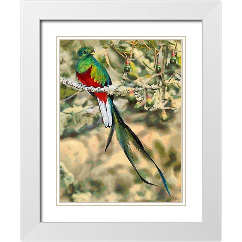 Green Bird with long Feathers White Modern Wood Framed Art Print with Double Matting by Medeiros, Celito