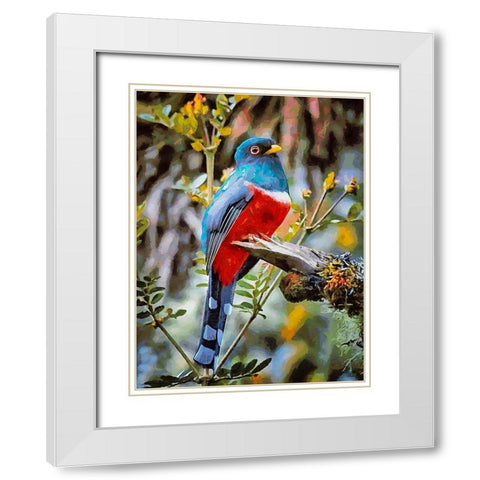 Bird with Blue Feathers White Modern Wood Framed Art Print with Double Matting by Medeiros, Celito