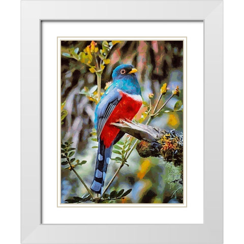 Bird with Blue Feathers White Modern Wood Framed Art Print with Double Matting by Medeiros, Celito