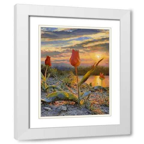 Sunset over the Tulips White Modern Wood Framed Art Print with Double Matting by Medeiros, Celito